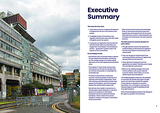 Executive Summary