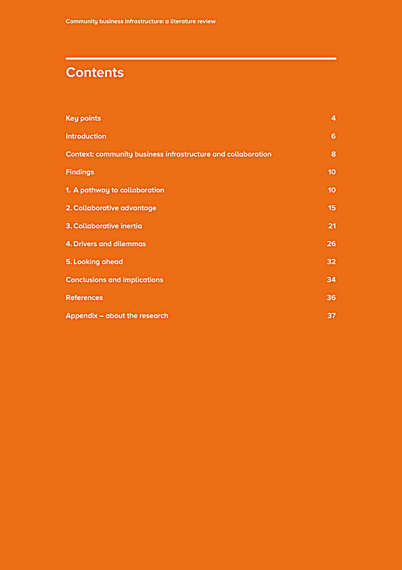 Community business infrastructure: a literature review