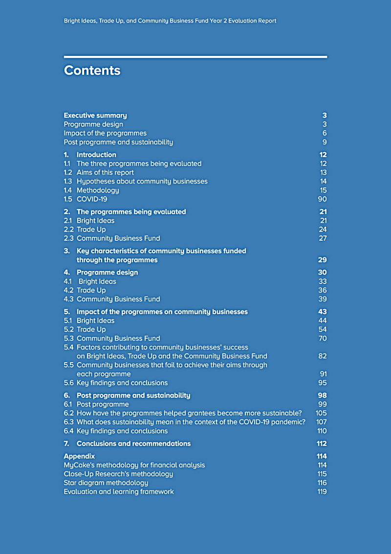 Bright Ideas, Trade Up, and Community Business Fund Year 2 Evaluation Report