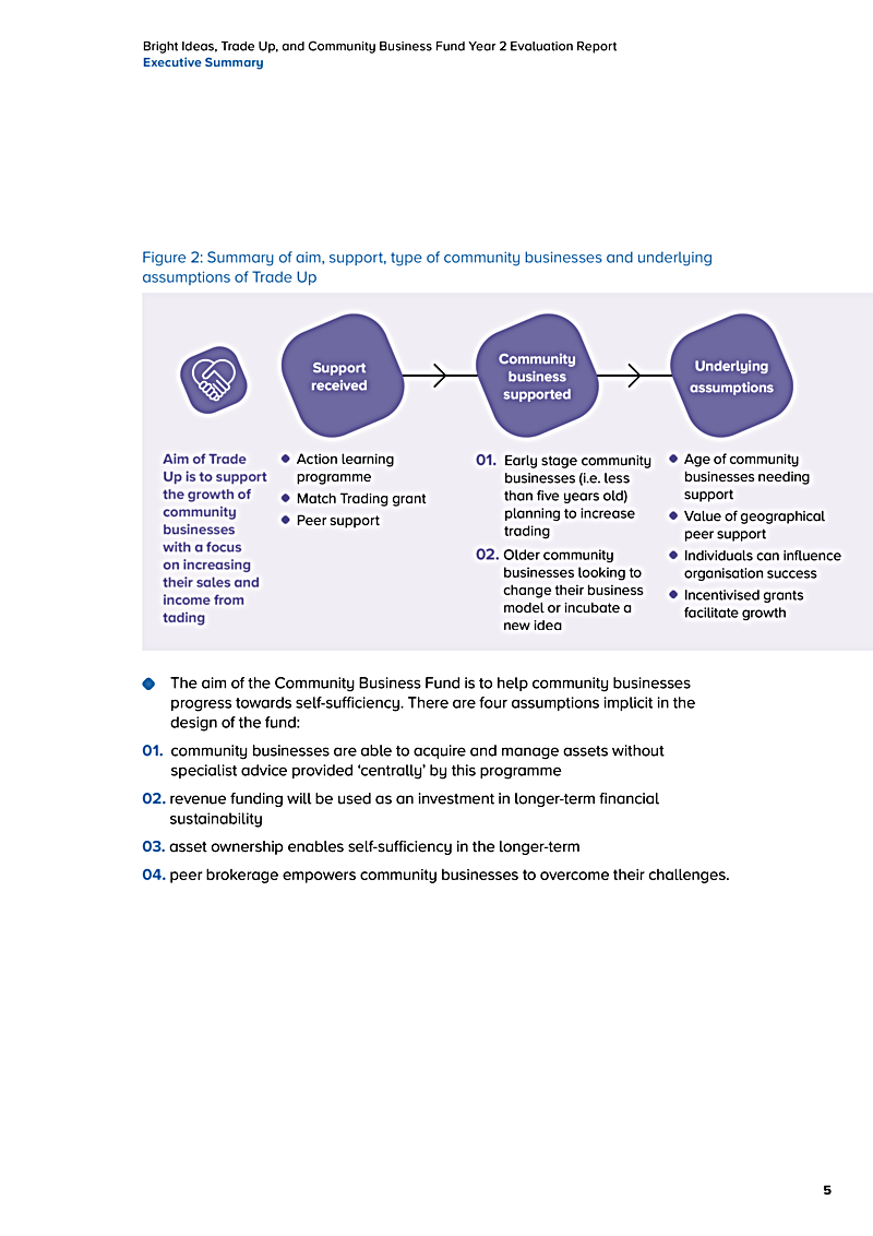 Bright Ideas, Trade Up, and Community Business Fund Year 2 Evaluation Report Executive Summary