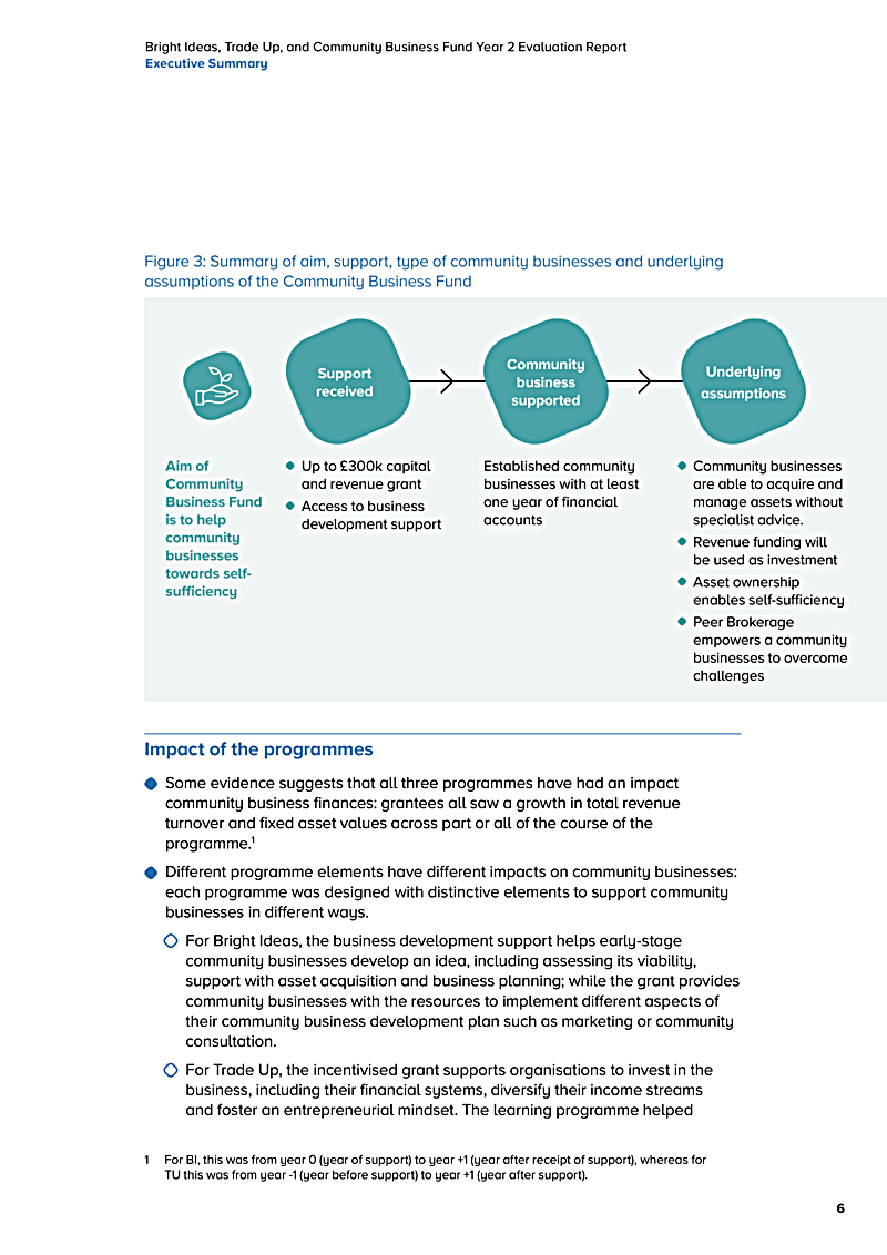 Bright Ideas, Trade Up, and Community Business Fund Year 2 Evaluation Report Executive Summary