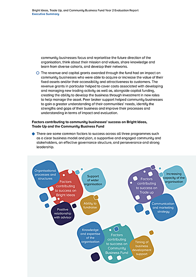 Bright Ideas, Trade Up, and Community Business Fund Year 2 Evaluation Report Executive Summary