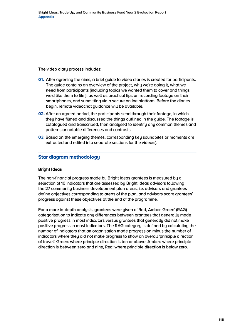 Bright Ideas, Trade Up, and Community Business Fund Year 2 Evaluation Report Appendix