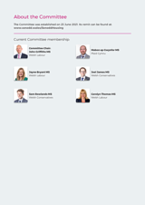 About the Committee